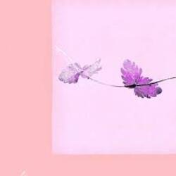 Portada Alina Orlova - Einu