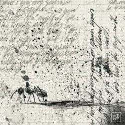 Portada Jolliffe & Kublai & Verbz - Frames
