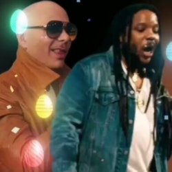 Portada Pitbull feat. Stephen Marley - Options