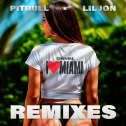 Portada Pitbull & Lil Jon - Damn I Love Miami (JumpSmokers Remix)