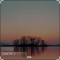 Portada DNDM feat. Davvi - No No