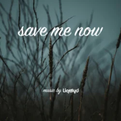 Portada LiQWYD - Save me now