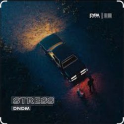 Portada DNDM - Stress