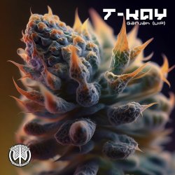 Portada T-Kay - Ganjah VIP (Original Mix)