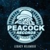 Portada Dr. Peacock & Hyrule War - Imagination (Original Mix) Dr. Peacock & Hyrule War - Imagination (Original Mix)