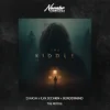 Portada D.HASH & ILYA SECHKIN & BORDERMIND - The Riddle D.HASH & ILYA SECHKIN & BORDERMIND - The Riddle