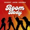 Portada Shaggy & Akon & Aidonia - Boom Body Shaggy & Akon & Aidonia - Boom Body