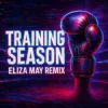 Portada Dua Lipa - Training Season (Eliza May Remix) Dua Lipa - Training Season (Eliza May Remix)