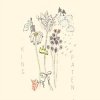 Portada Holly Henry - Citrus Holly Henry - Citrus
