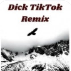 Portada unknown - Тык дык тыг дык шабаман Байден Байден Байден (tik tok)