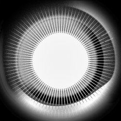Portada Disclosure - Moonlight