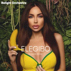 Portada Relight Orchestra - Elegibo (Dj Dark Remix)