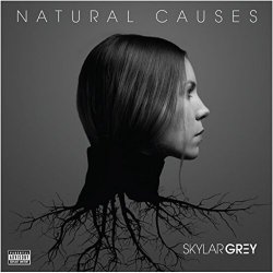 Portada Skylar Grey - Jump