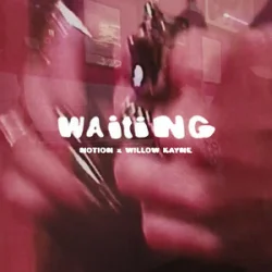 Portada NOTION & Willow Kayne - WAITING
