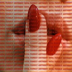 Portada 5sta Family - Антидот