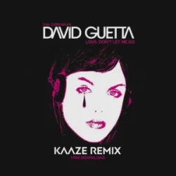 Portada David Guetta & Chris Willis - Love Don't Let Me Go (KAAZE Remix)