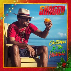 Portada SHAGGY feat. Jamila Falak - Christmas time