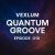 Portada Vexlum - Quantum Groove 010