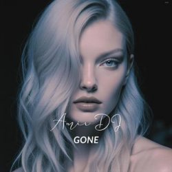 Portada Amir DJ - Go Away