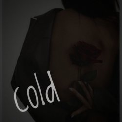 Portada Dos Ton - Cold