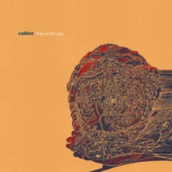 Portada Calibre - dim light