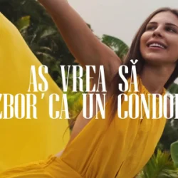 Portada Anda Călugăreanu - Aș vrea să zbor ca un condor (Mentol & Daniel Pavel Remix)