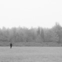 Portada EKKSTACY - i walk this earth all by myself