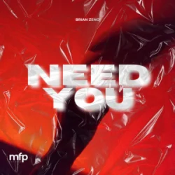 Portada Brian Zeno - Need You