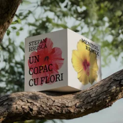 Portada Stefan Hrusca - Un copac cu flori (Mentol Remix)