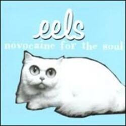 Portada Eels - Novocaine For the Soul