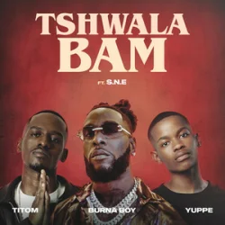 Portada TitoM & Yuppe - Tshwala Bam [feat. S.N.E]
