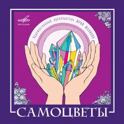 Portada ВИА САМОЦВЕТЫ - По морозу, по зиме