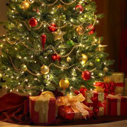 Portada Acting Lovers - Under the christmas tree
