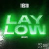 Portada Tiesto - Lay Low (SLVR Remix) Tiesto - Lay Low (SLVR Remix)