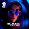 Portada Bitwake - Flight 3033 Bitwake - Flight 3033