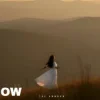Portada The Shadow - The lesson of love The Shadow - The lesson of love
