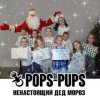 Pops-Pups - Ненастоящий Дед Мороз