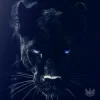 Portada Adam Jamar - Black Panther Adam Jamar - Black Panther
