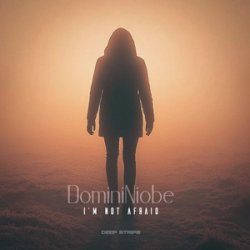 Portada Lenox Deep - Where the Light Goes Dim (Radio Edit)
