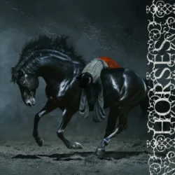 Portada Winona Oak - Horses