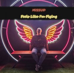 Portada Missud - What Are You Waiting For