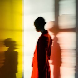 Portada MVGMA - In The Dark