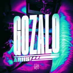Portada Ariis - GOZALO (Ultra Slowed)