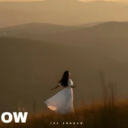 Portada The Shadow - The lesson of love