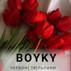 Portada Бойки - Червоні тюльпани