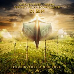 Portada DJ Bim And Solar Walker - Next Level