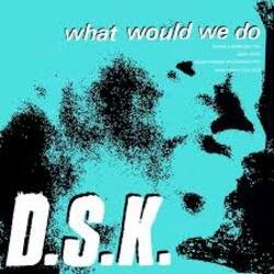 Portada DSK - What Would We Do (Original Mix)
