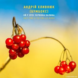 Portada Бумбокс - Ой У Лузі Червона Калина
