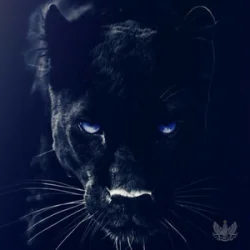 Portada Adam Jamar - Black Panther