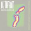 DJ Hybrid - Gone